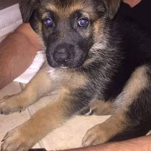 Meet your Posher, Anthony